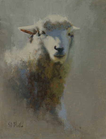 A sketch of a sheep at Willow Hawk Farm in Lovettsville, VA